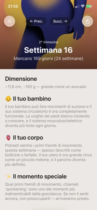 Ribbon Family — settimana 16 di gravidanza illustrata