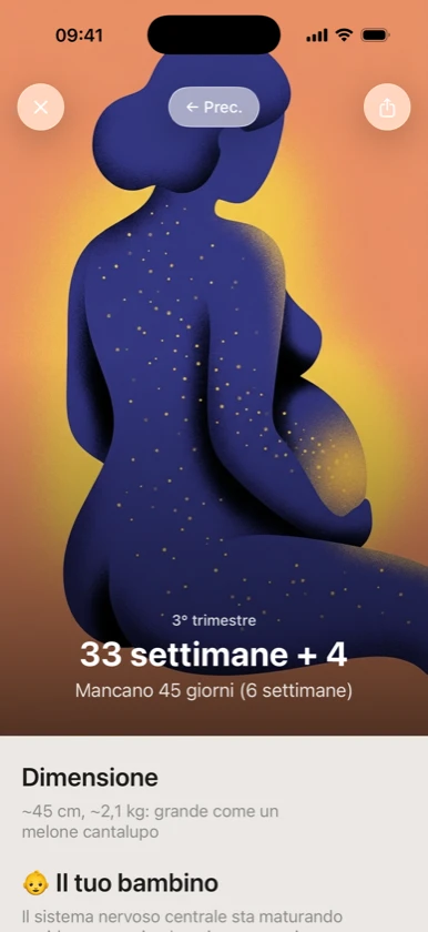 Ribbon Family — settimana 34 di gravidanza illustrata