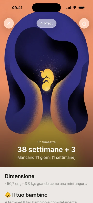 Ribbon Family — settimana 39 di gravidanza, il bambino nelle mani